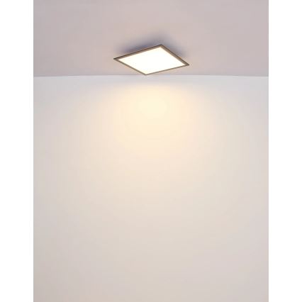 Globo - LED Mennyezeti lámpa LED/24W/230V