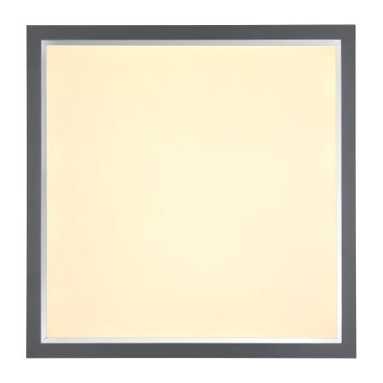 Globo - LED Mennyezeti lámpa LED/24W/230V