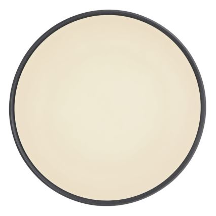 Globo - LED dimmelhető mennyezeti lámpa LED/24W/230V + távirányító