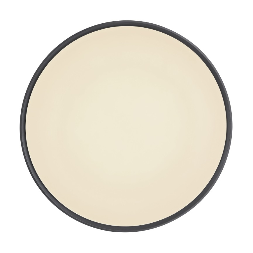 Globo - LED dimmelhető mennyezeti lámpa LED/24W/230V + távirányító