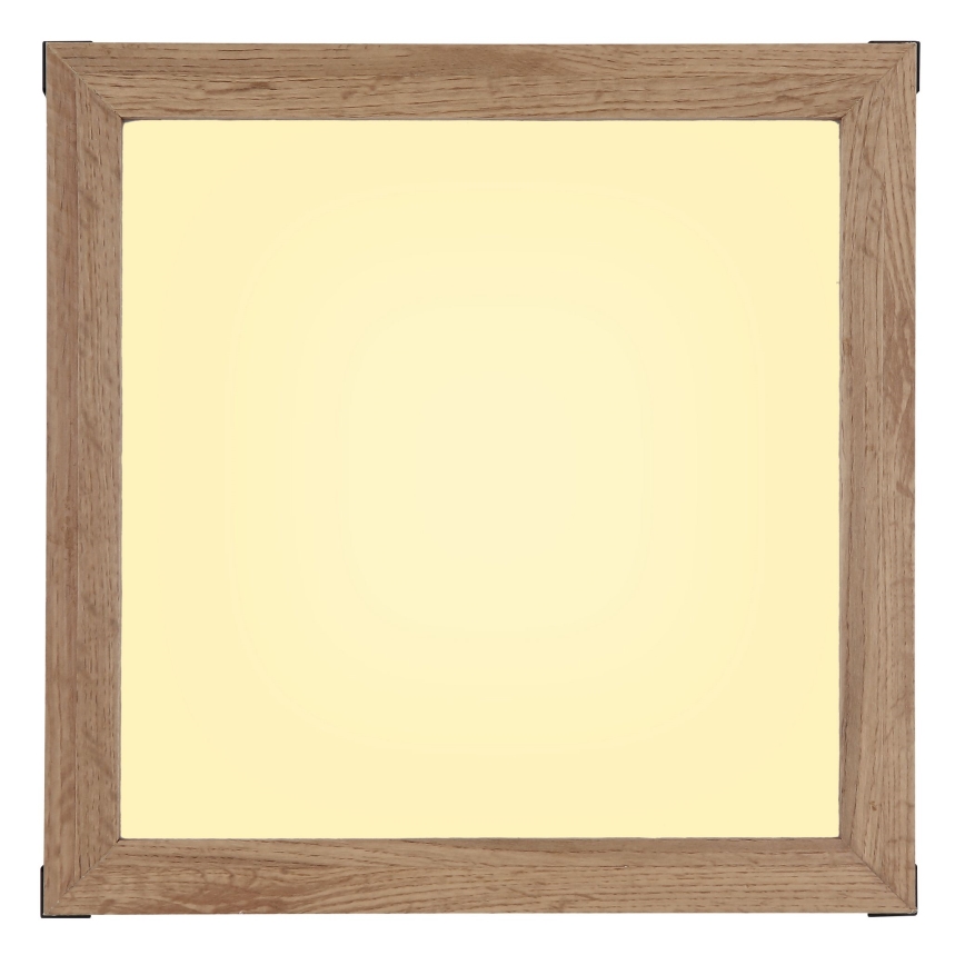 Globo - LED Mennyezeti lámpa LED/12W/230V 30x30 cm