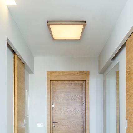 Globo - LED Mennyezeti lámpa LED/24W/230V 45x45 cm