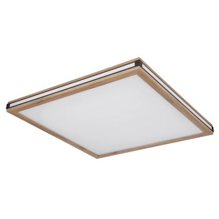 Globo - LED Dimmelhető mennyezeti lámpa LED/36W/230V 3000K 60x60 cm