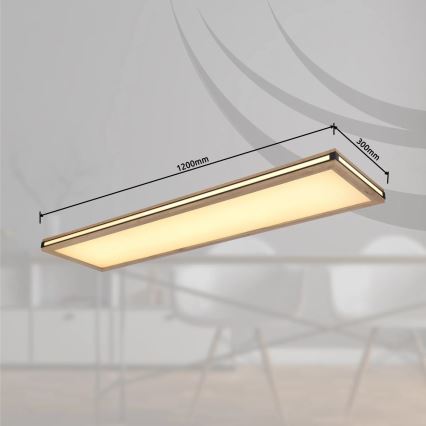 Globo - LED Dimmelhető mennyezeti lámpa LED/36W/230V 3000K 30x120 cm