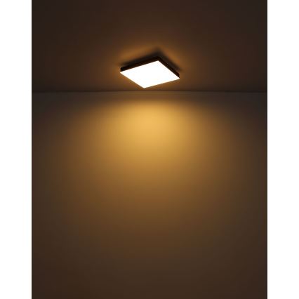 Globo - LED Mennyezeti lámpa LED/18W/230V 30x30 cm fekete