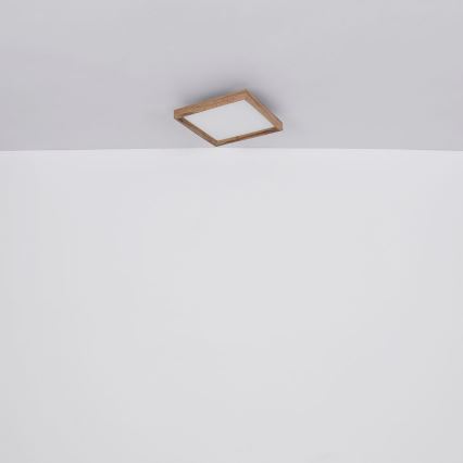 Globo - LED Mennyezeti lámpa LED/24W/230V 45cm 2700/4500/6500K