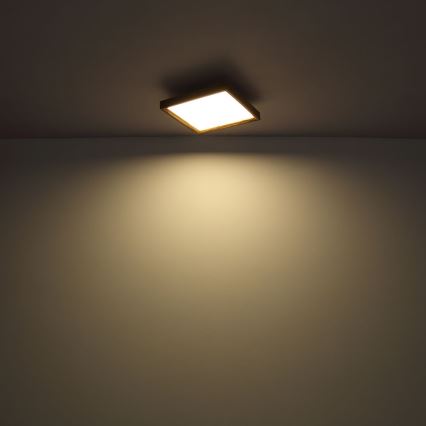 Globo - LED Mennyezeti lámpa LED/36W/230V 2700/4500/6500K 60x60 cm