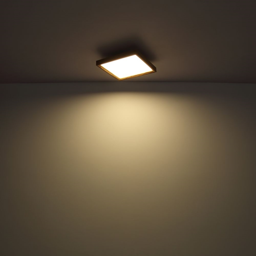 Globo - LED Mennyezeti lámpa LED/36W/230V 2700/4500/6500K 60x60 cm