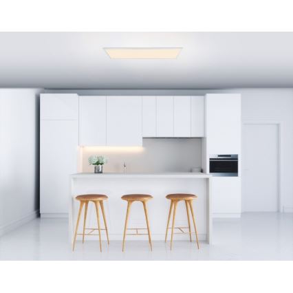 Globo - LED Mennyezeti lámpa LED/40W/230V