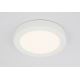 Globo - LED fürdőszobai mennyezeti lámpa 1xLED/22W/230V IP44