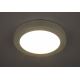 Globo - LED fürdőszobai mennyezeti lámpa 1xLED/22W/230V IP44
