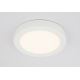 GLOBO 41605-24D - LED Dimmelhető fürdőszobai lámpa PAULA 1xLED/24W/230V IP44