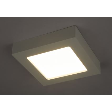 GLOBO 41606-12 - LED fürdőszobai mennyezeti lámpa SVENJA 1xLED/12W/230V IP44