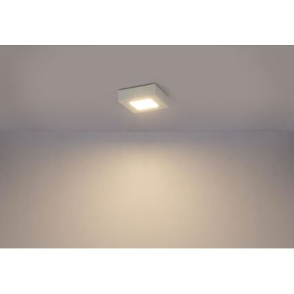 GLOBO 41606-6 - LED fürdőszobai mennyezeti lámpa SVENJA 1xLED/6W/230V IP44