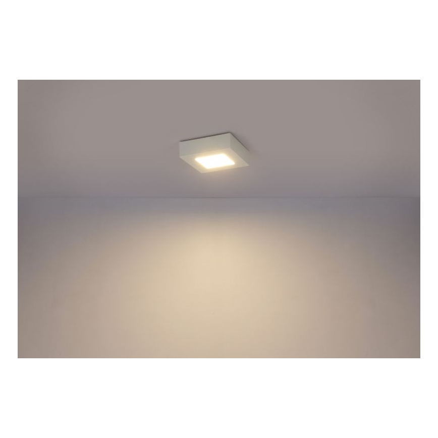 GLOBO 41606-6 - LED fürdőszobai mennyezeti lámpa SVENJA 1xLED/6W/230V IP44