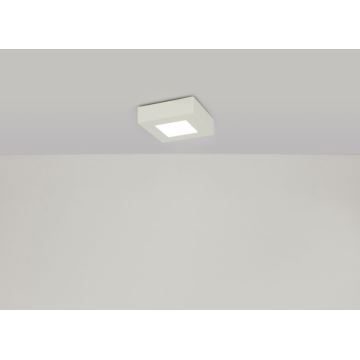 GLOBO 41606-6 - LED fürdőszobai mennyezeti lámpa SVENJA 1xLED/6W/230V IP44