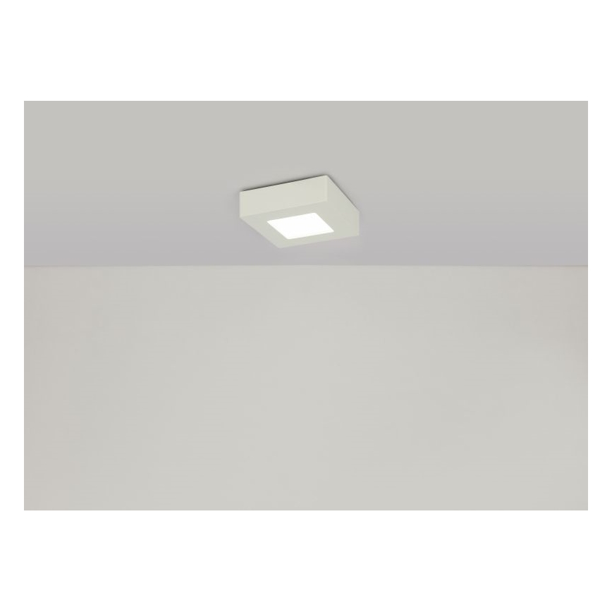 GLOBO 41606-6 - LED fürdőszobai mennyezeti lámpa SVENJA 1xLED/6W/230V IP44