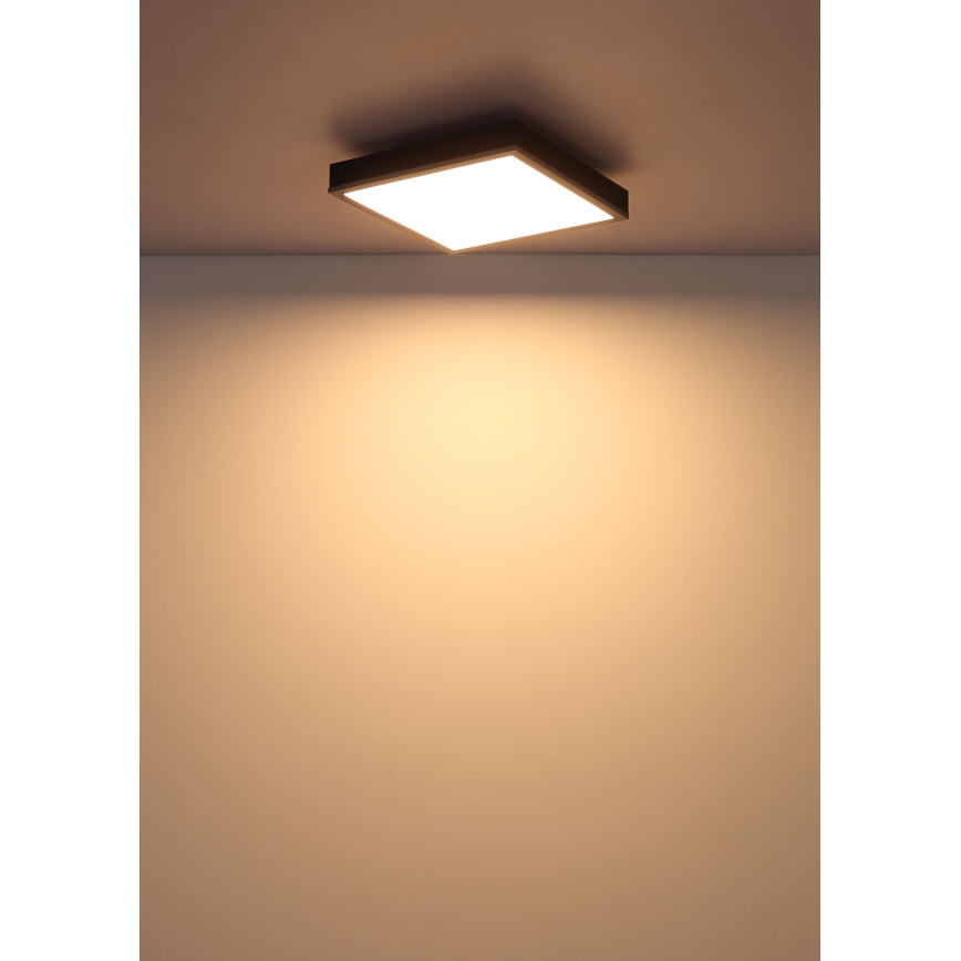 Globo - LED Mennyezeti lámpa LED/12W/230V 3000K 30x30 cm