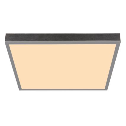 Globo - LED Mennyezeti lámpa LED/24W/230V 3000K 45x45 cm