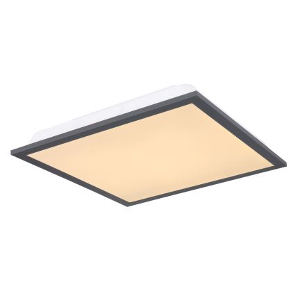 Globo - LED Mennyezeti lámpa LED/12W/230V