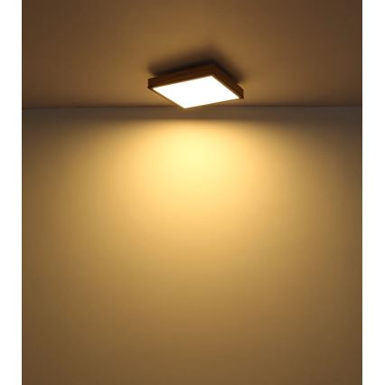 Globo - LED fényerőszabályozható mennyezeti lámpatest LED/24W/230V 3000-6500K 45x45 cm
