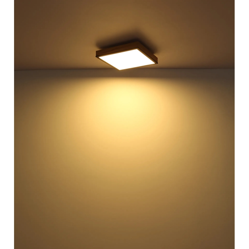 Globo - LED fényerőszabályozható mennyezeti lámpatest LED/24W/230V 3000-6500K 45x45 cm
