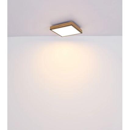 Globo - LED fényerőszabályozható mennyezeti lámpatest LED/24W/230V 3000-6500K 45x45 cm