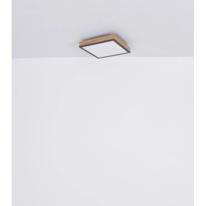 Globo - LED fényerőszabályozható mennyezeti lámpatest LED/24W/230V 3000-6500K 45x45 cm