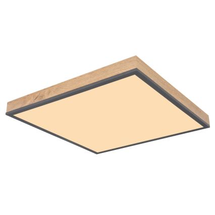 Globo - LED fényerőszabályozható mennyezeti lámpatest LED/24W/230V 3000-6500K 45x45 cm