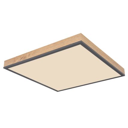 Globo - LED fényerőszabályozható mennyezeti lámpatest LED/24W/230V 3000-6500K 45x45 cm