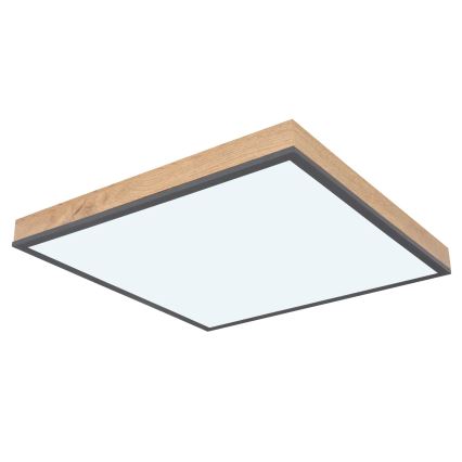 Globo - LED fényerőszabályozható mennyezeti lámpatest LED/24W/230V 3000-6500K 45x45 cm