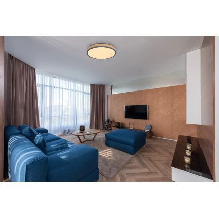 Globo - LED, fényerőszabályozható mennyezeti lámpa LED/24W/230V 3000-6500K Ø 45 cm