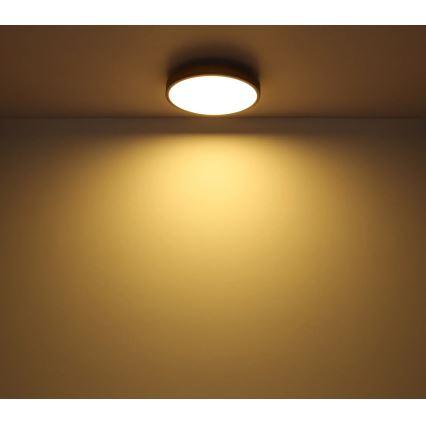 Globo - LED, fényerőszabályozható mennyezeti lámpa LED/24W/230V 3000-6500K Ø 45 cm