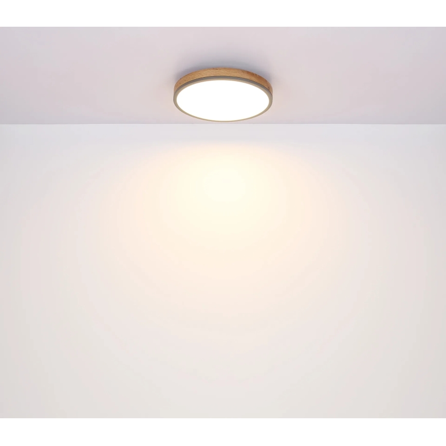 Globo - LED, fényerőszabályozható mennyezeti lámpa LED/24W/230V 3000-6500K Ø 45 cm