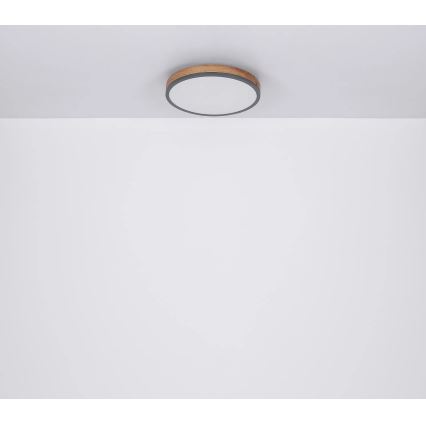 Globo - LED, fényerőszabályozható mennyezeti lámpa LED/24W/230V 3000-6500K Ø 45 cm
