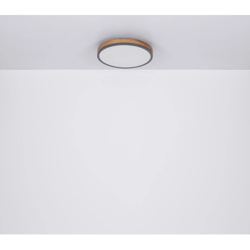 Globo - LED, fényerőszabályozható mennyezeti lámpa LED/24W/230V 3000-6500K Ø 45 cm