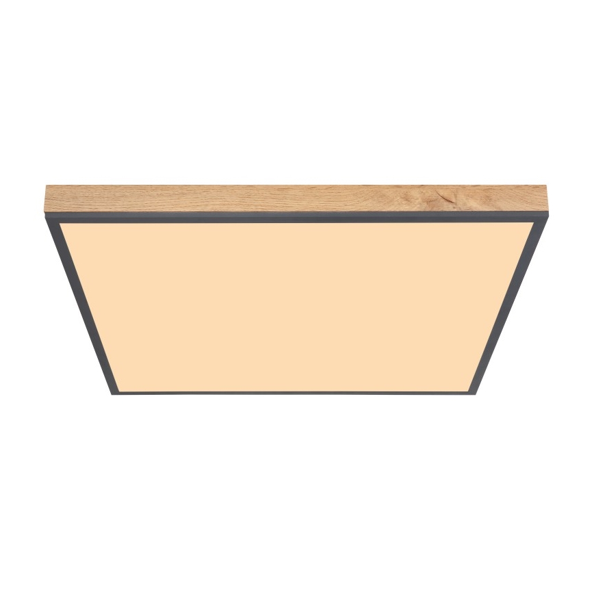 Globo - LED Mennyezeti lámpa LED/36W/230V