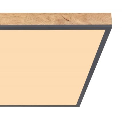 Globo - LED Mennyezeti lámpa LED/36W/230V