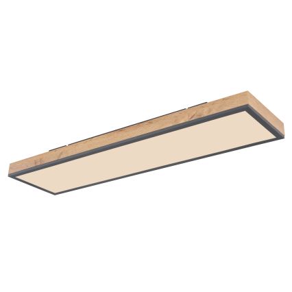 Globo - LED Dimmelhető mennyezeti lámpa LED/24W/230V 2700-6500K + távirányítás