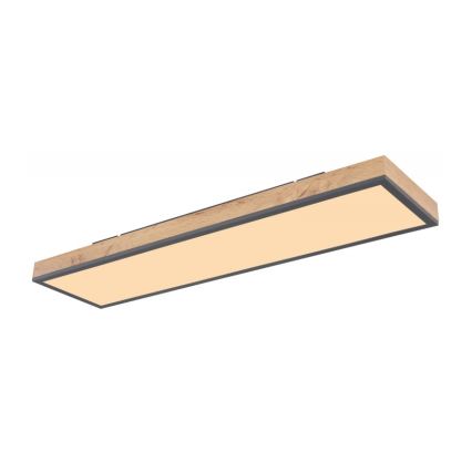 Globo - LED Mennyezeti lámpa LED/24W/230V