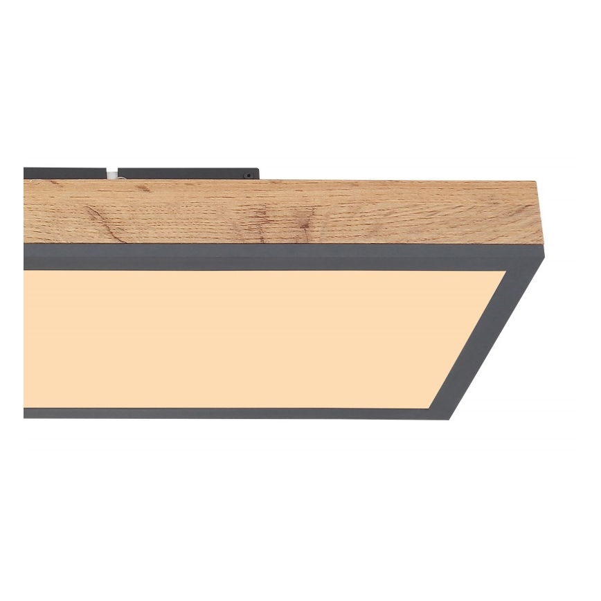 Globo - LED Mennyezeti lámpa LED/24W/230V