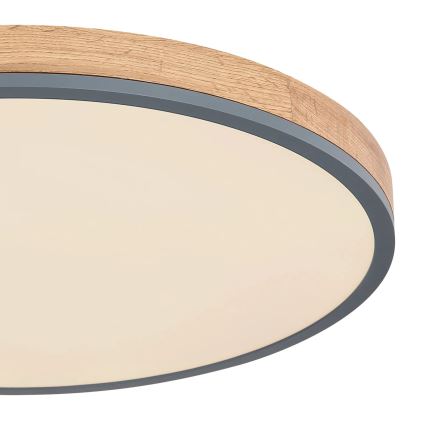 Globo - LED Dimmelhető mennyezeti lámpa LED/40W/230V 2700-6500K átm. 60 cm + távirányítás barna/szürke