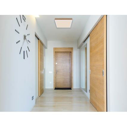 Globo - LED Mennyezeti lámpa LED/12W/230V 30x30 cm barna