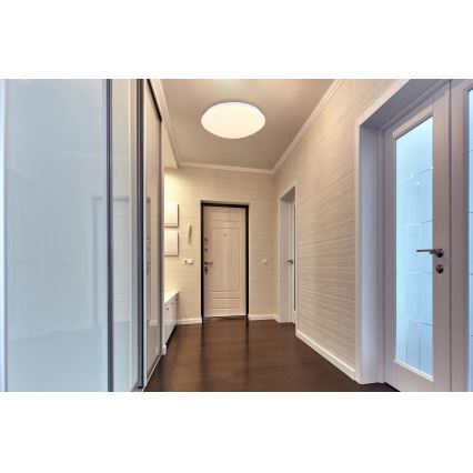 Globo - LED Mennyezeti lámpa LED/18W/230V