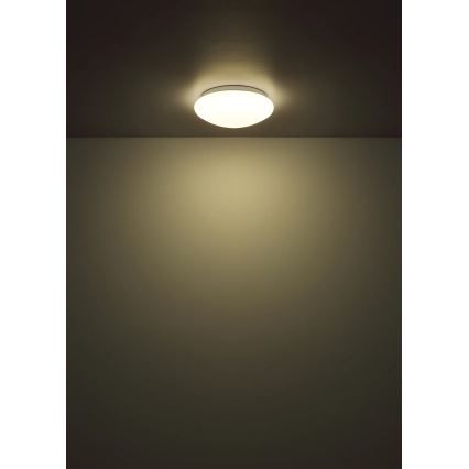 Globo - LED mennyezeti lámpa, 12 W, 230 V, 4000 K, átmérő 25,4 cm