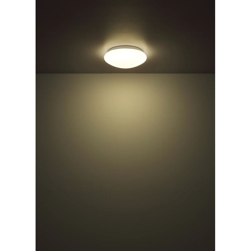 Globo - LED mennyezeti lámpa, 12 W, 230 V, 4000 K, átmérő 25,4 cm