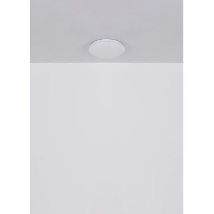 Globo - LED mennyezeti lámpa, 12 W, 230 V, 4000 K, átmérő 25,4 cm