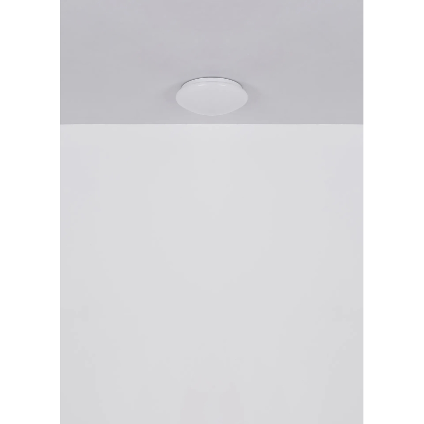 Globo - LED mennyezeti lámpa, 12 W, 230 V, 4000 K, átmérő 25,4 cm