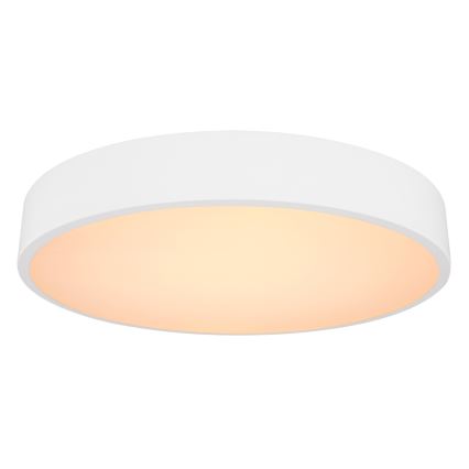 Globo - LED dimmelhető mennyezeti lámpa LED/24W/230V 3000-6000K + távirányító