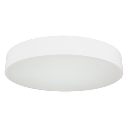 Globo - LED dimmelhető mennyezeti lámpa LED/24W/230V 3000-6000K + távirányító